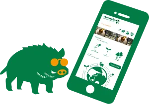 スマホをみるサングラスをかけたイノシシ